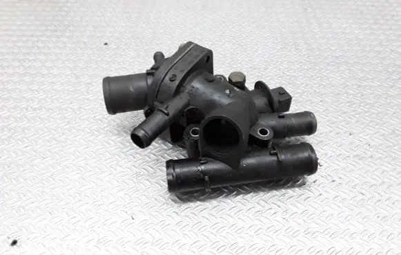 Thermostat/thermostat housing