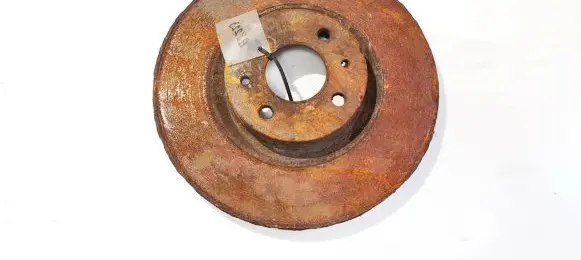 Fiat Bravo Rear brake disc ventiliuojamas