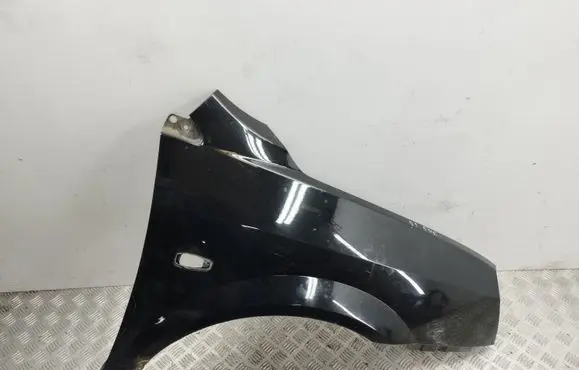 KIA Carens I Fender
