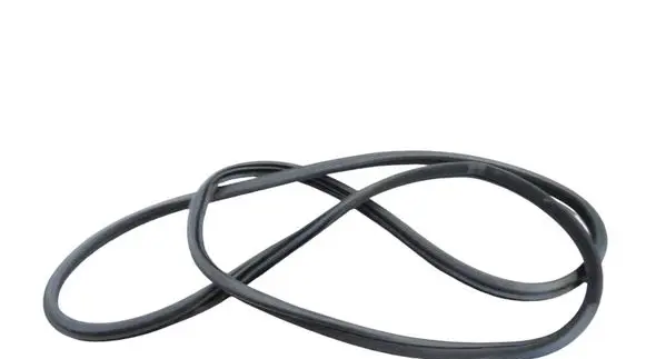 Infiniti Q50 Rubber seal rear door 