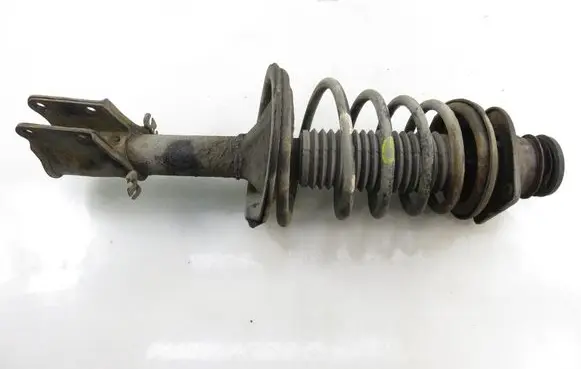 Fiat Doblo Front shock absorber with coil spring 