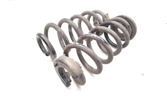 Rear coil spring
