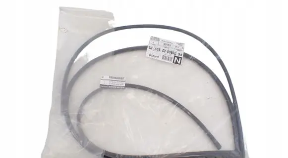 Nissan Qashqai Rubber seal loading door window/glass 727524EA1A