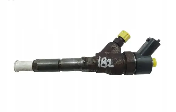 Peugeot Boxer Fuel injector 0445110076