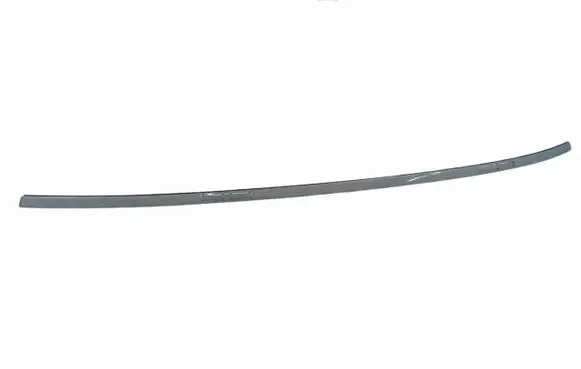 BMW i4 Roof trim bar molding cover 226482