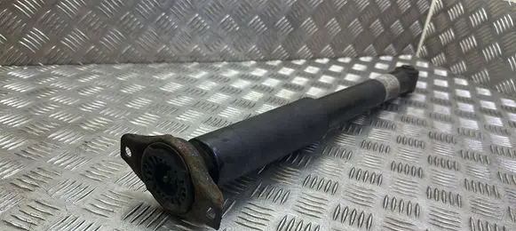 Rear shock absorber/damper