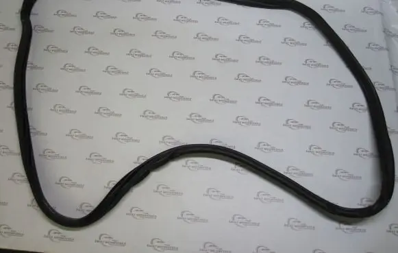 Mini Cooper Countryman R60 Rubber seal rear door 