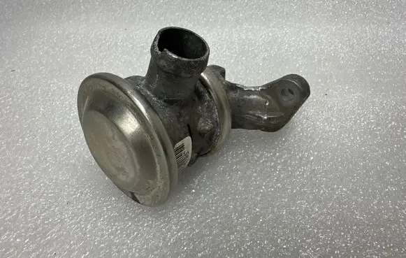 EGR valve
