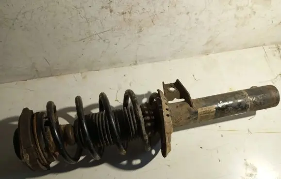 Volkswagen PASSAT B6 Front shock absorber with coil spring 3C0413031AB VW4617FV192 824904002055