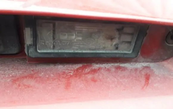 Renault Laguna II Number plate light