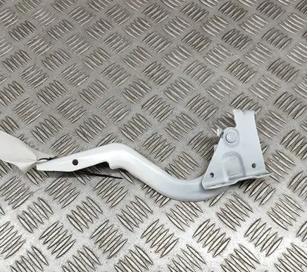 Toyota C-HR II Engine bonnet/hood hinges 53420F4130