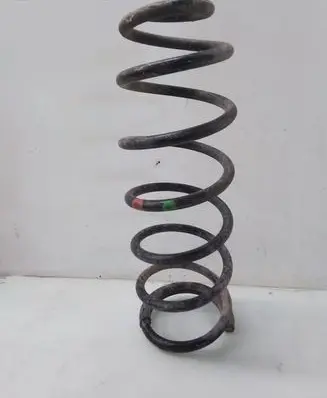 Rear coil spring