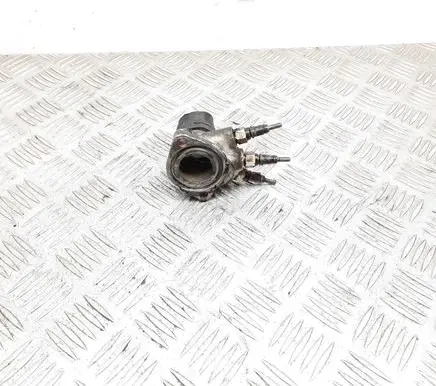 Thermostat/thermostat housing