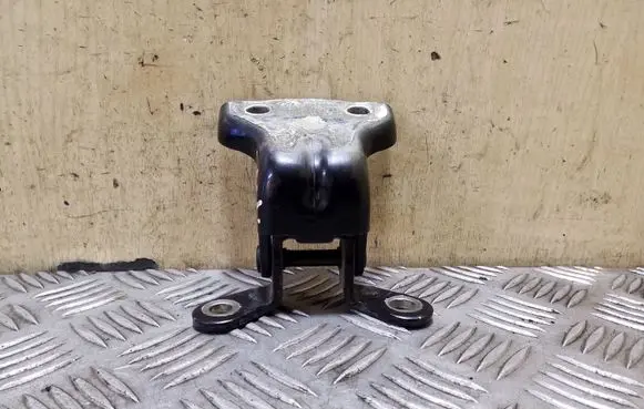 Chevrolet Captiva Rear door upper hinge