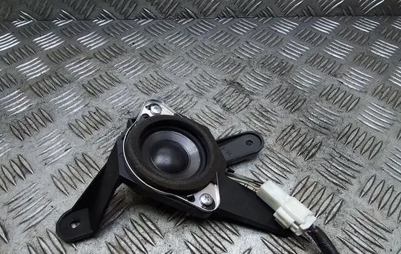 Front door speaker