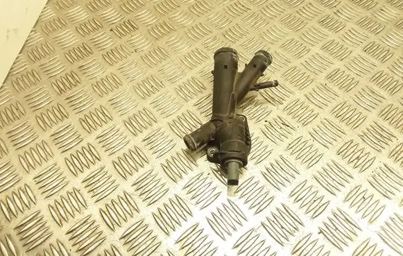 Thermostat/thermostat housing