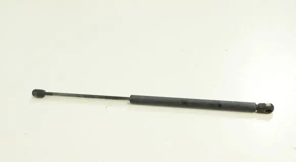 Tailgate/trunk strut/damper