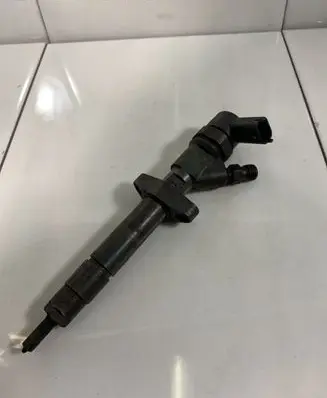 Renault Espace - Grand espace IV Fuel injector 0445110084