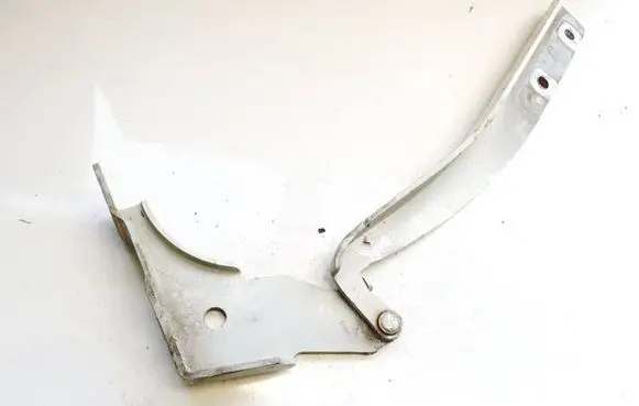 Fiat Punto (199) Engine bonnet/hood hinges