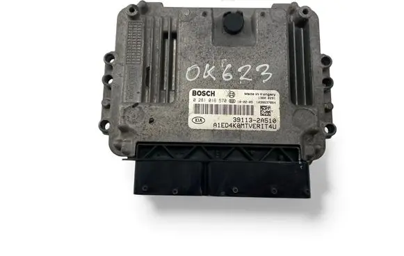 Engine control unit/module ECU