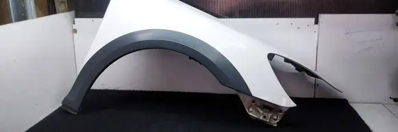 Skoda Octavia Mk2 (1Z) Fender 