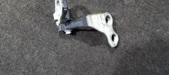 Ford Focus C-MAX Rear door lower hinge