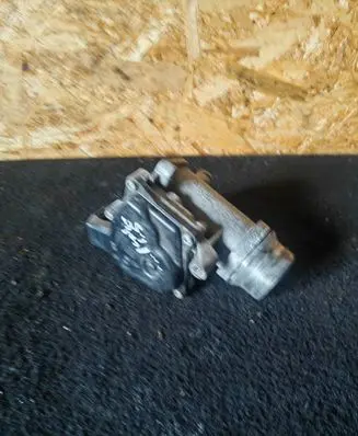 Nissan Juke I F15 Throttle valve 161A09794R