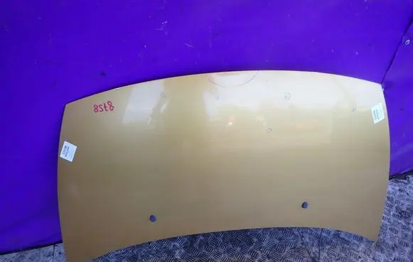 Citroen C3 Engine bonnet/hood 