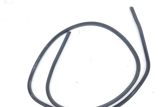 Ford C-MAX II Front door rubber seal