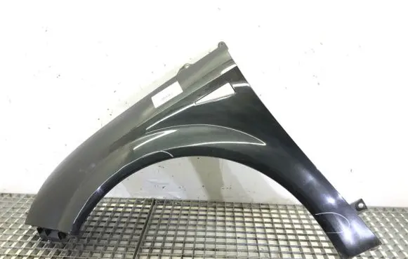 Renault Scenic II - Grand scenic II Fender