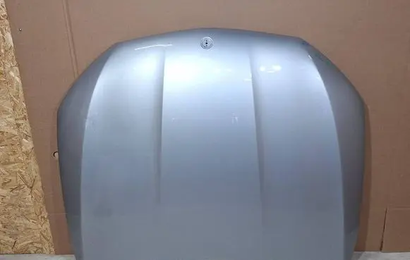 Engine bonnet/hood
