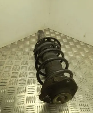 Volkswagen Tiguan Front shock absorber/damper 5N0413031AK