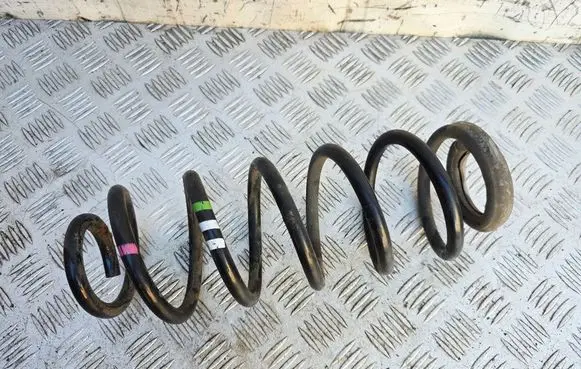 Rear coil spring