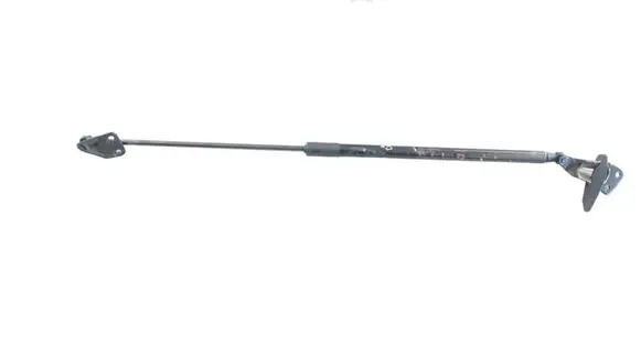 Nissan Juke I F15 Tailgate/trunk strut/damper 90450BV82A