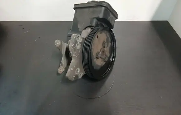 BMW 5 E39 Power steering pump 91208