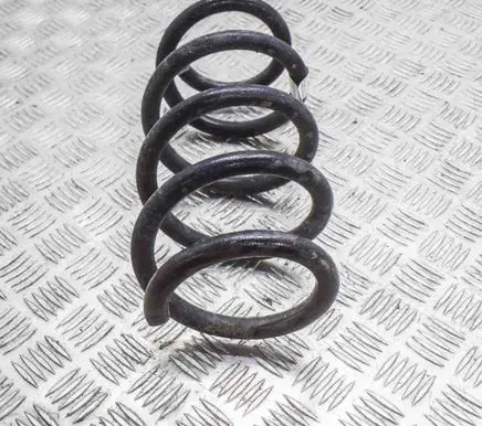 Tesla Model 3 Rear coil spring 104447291E