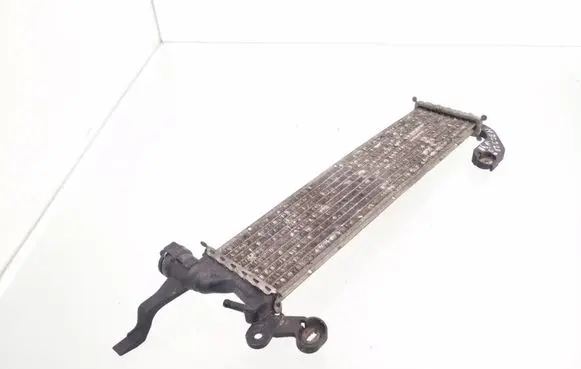 Mercedes-Benz C W202 Fuel cooler (radiator) A2025007903 46380