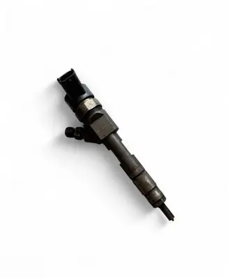 Renault Scenic II - Grand scenic II Fuel injector 0445110230