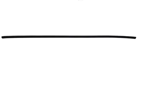 Dodge Charger Rubber seal front door (on door) 