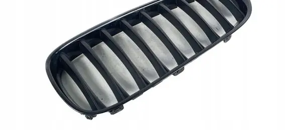 BMW Z4 E89 Front bumper upper radiator grill 40502054