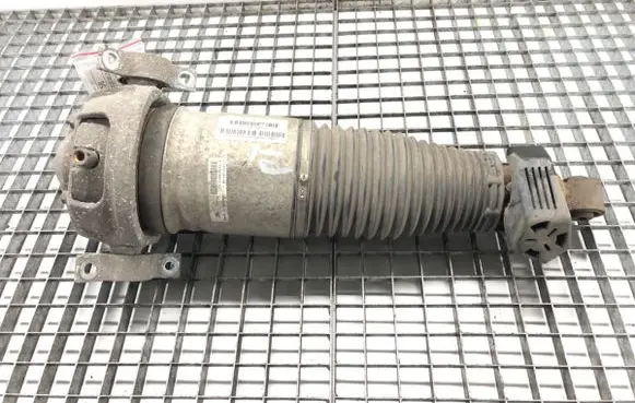 Rear shock absorber/damper
