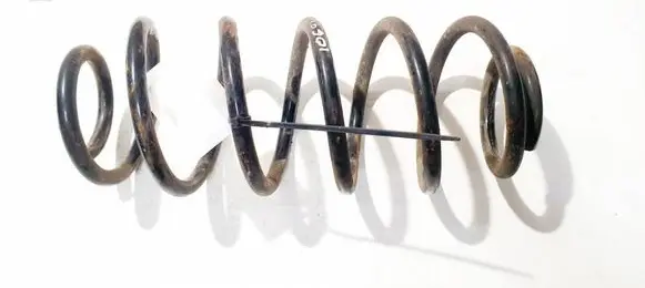 Rear coil spring