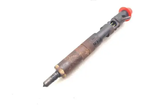 Dacia Sandero Fuel injector EJBR05101D 8200676774