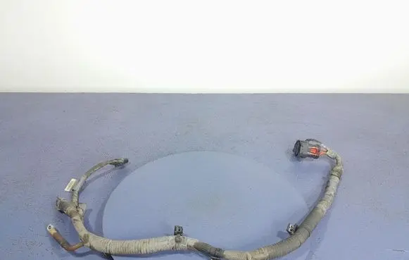 Other wiring loom