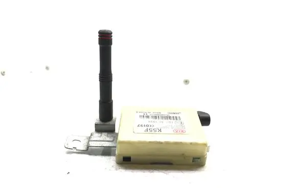 KIA Carnival Keyless (KESSY) go control unit/module E10108021820 S5160000841CP OK55F677RO