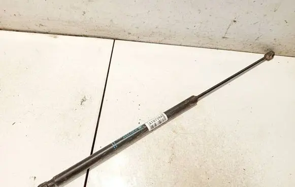 Tailgate/trunk strut/damper