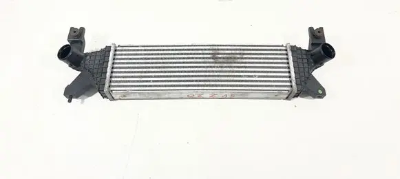 Suzuki Vitara (LY) Intercooler radiator 