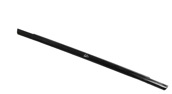 Rear door glass trim molding