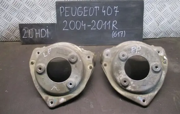 Peugeot 407 Front shock absorber with coil spring