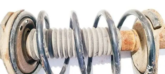 Citroen Xsara Picasso Front coil spring 